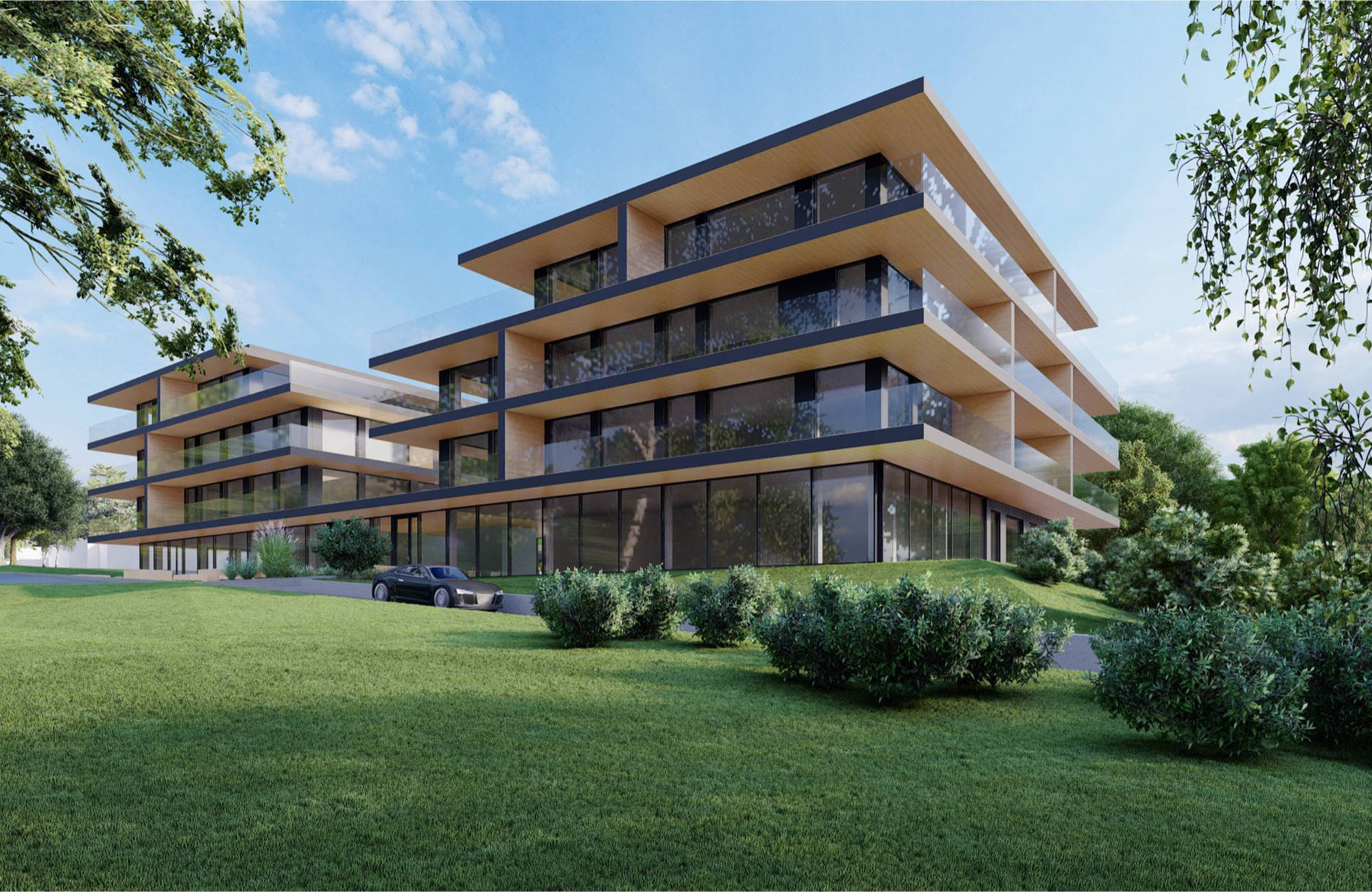 Jasny Dwór – widok 3