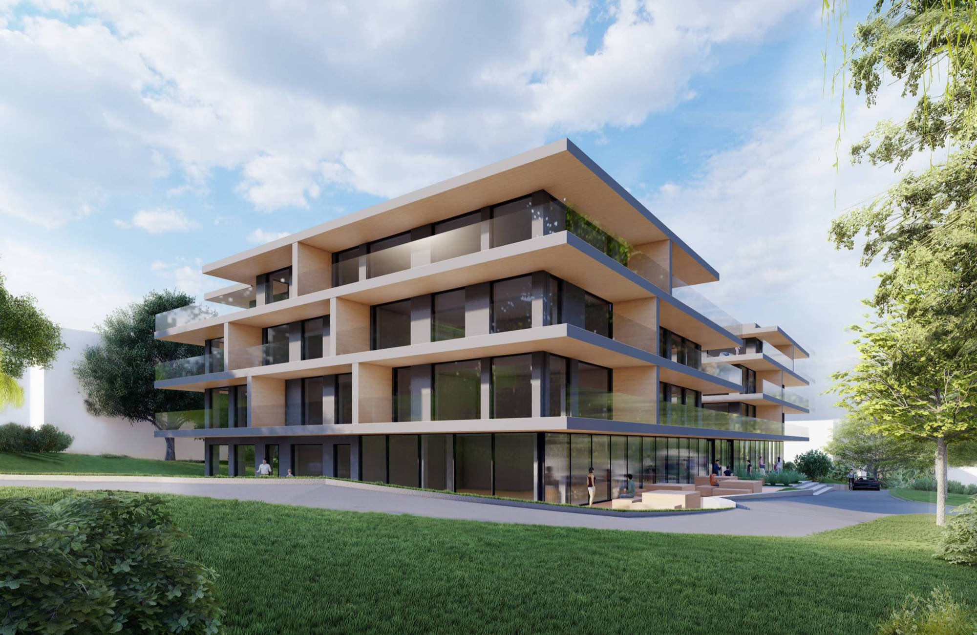 Jasny Dwór – widok 5