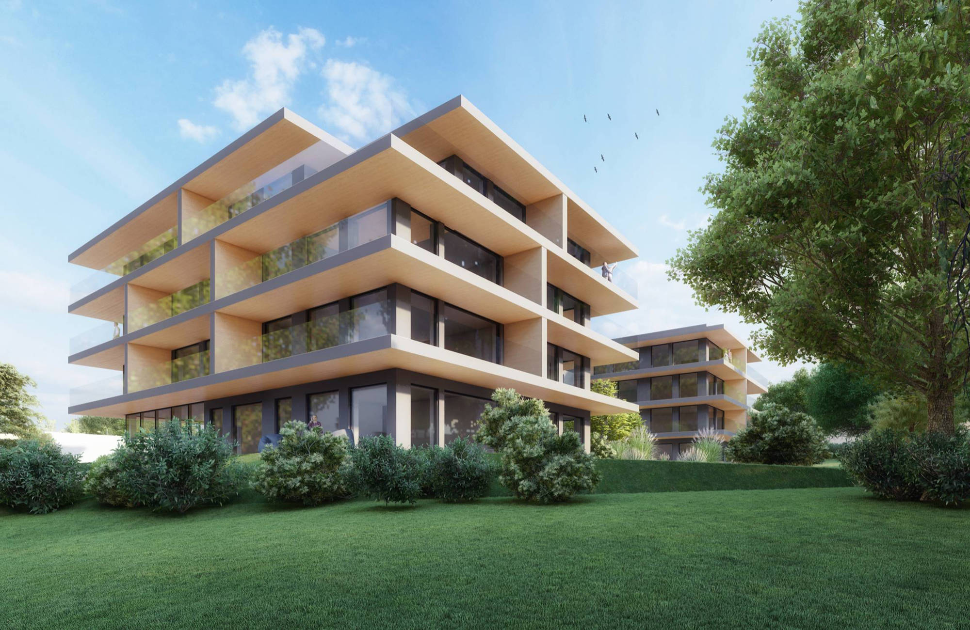 Jasny Dwór – widok 8