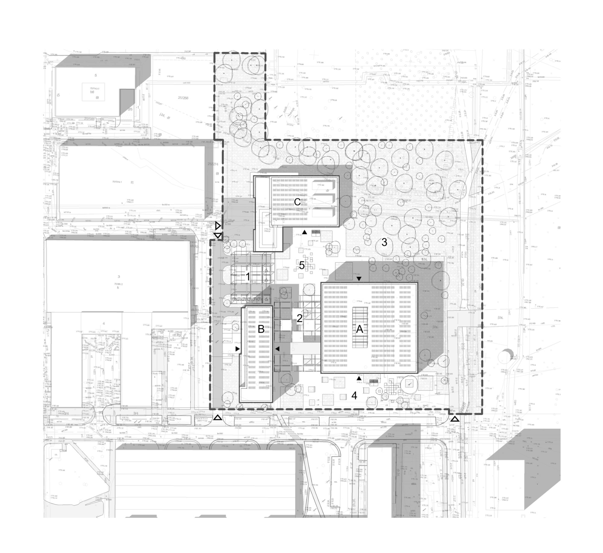 Politechnika – model 1