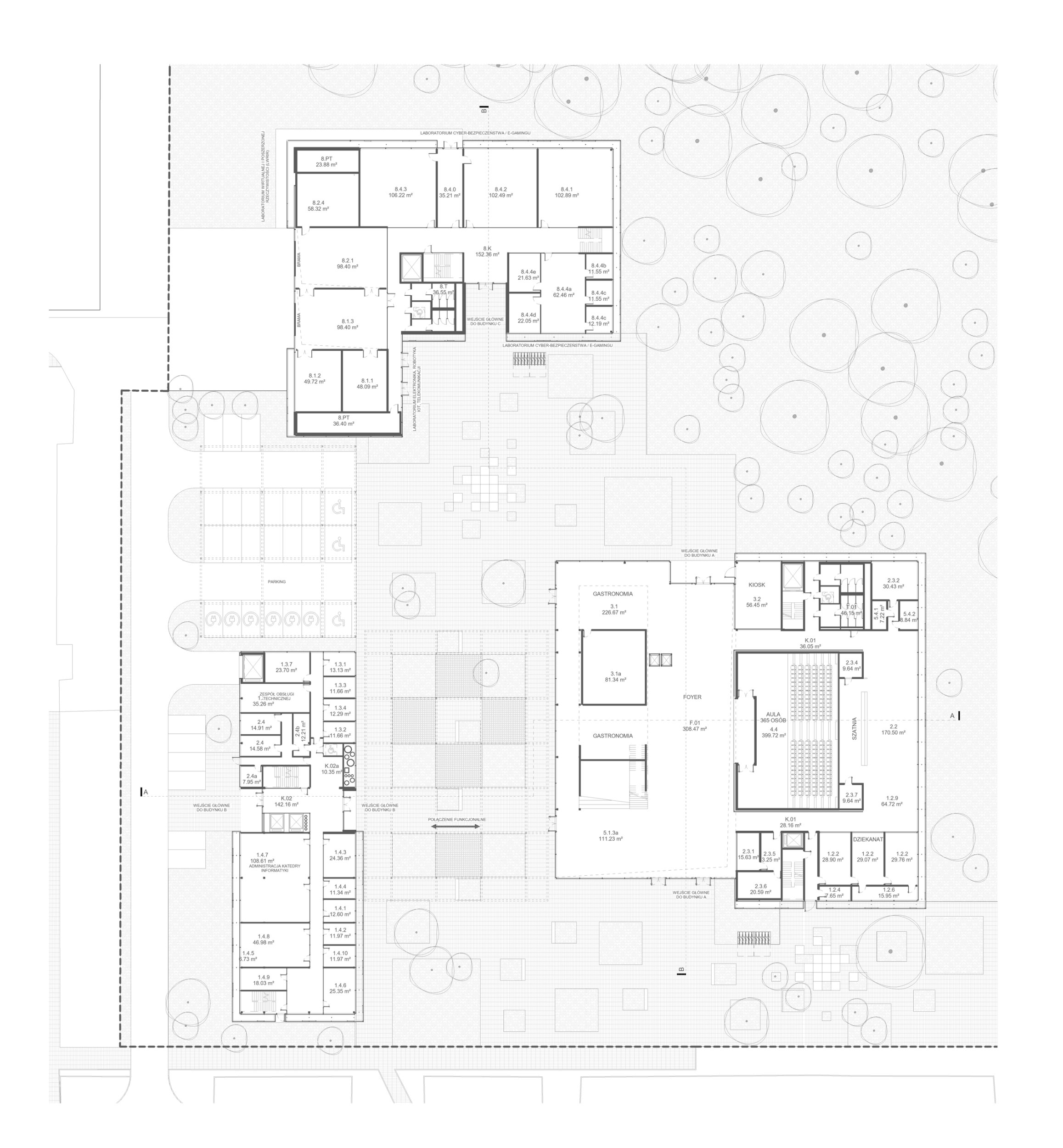 Politechnika – model 2