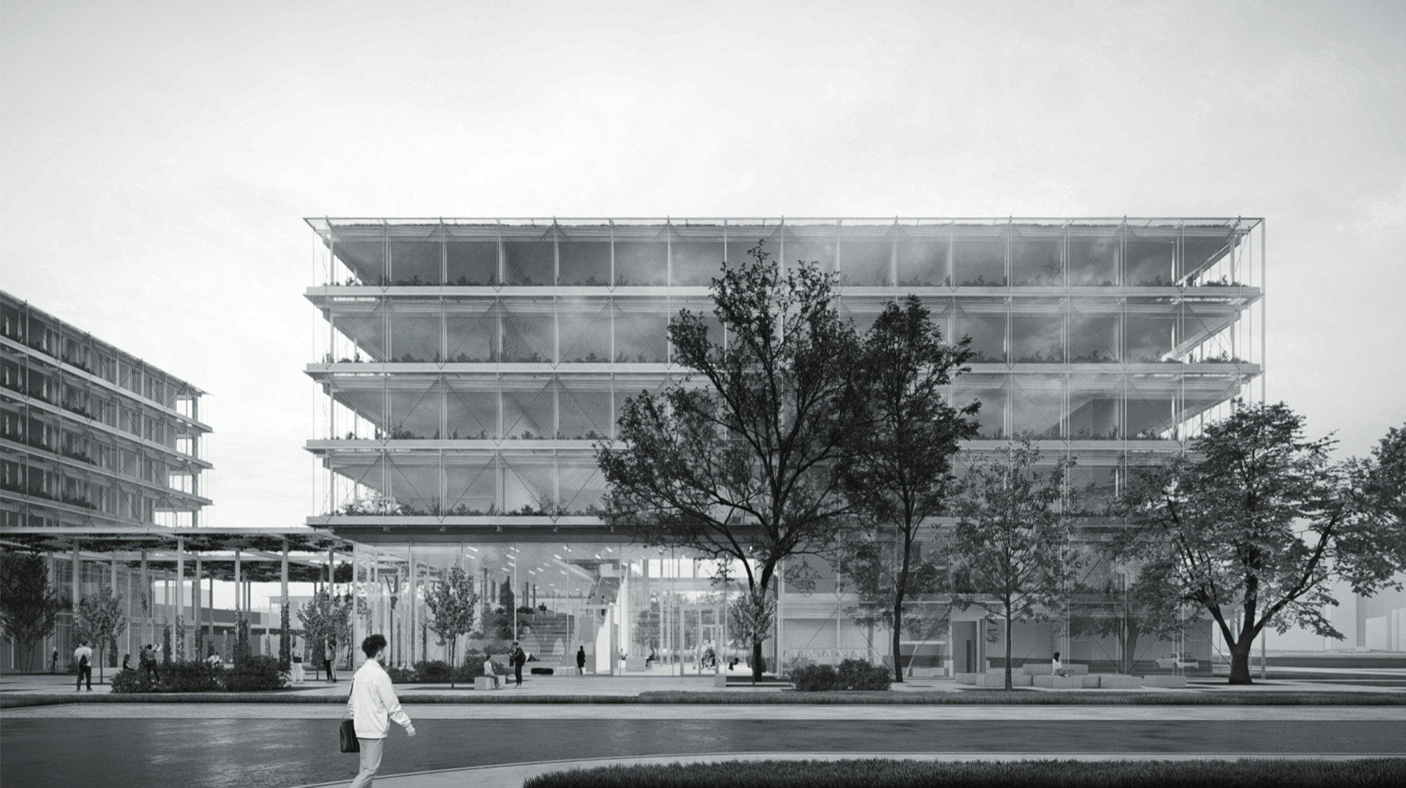 Politechnika – widok 2